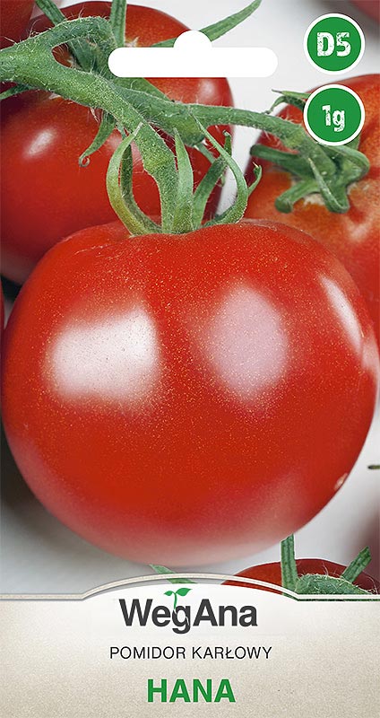 pomidor Hana