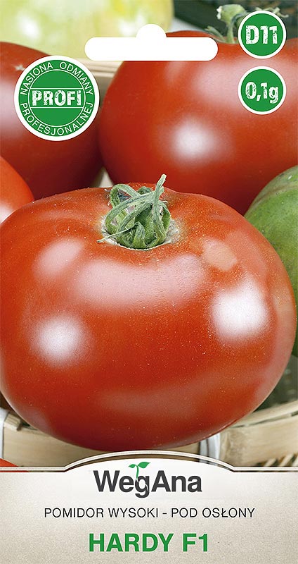 pomidor Hardy