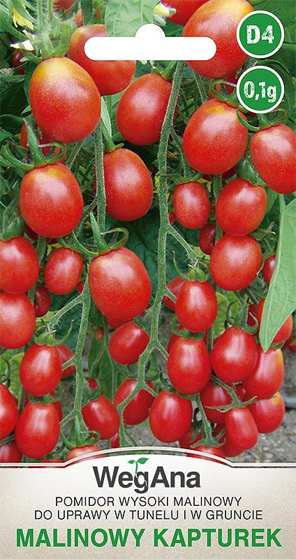 pomidor Malinowy Kapturek